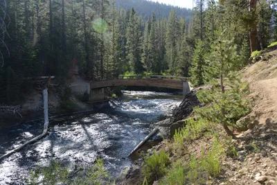 DSC_3515 (Large).JPG